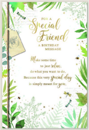 WGC 32619 SPECIAL FRIEND